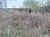 Teren Intravilan Oras Bragadiru 