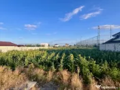 Teren de vanzare intravilan - sat Islaz Comuna Branesti - to 