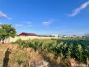 Teren de vanzare intravilan - sat Islaz Comuna Branesti - to 