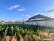 Teren de vanzare intravilan - sat Islaz Comuna Branesti - to 