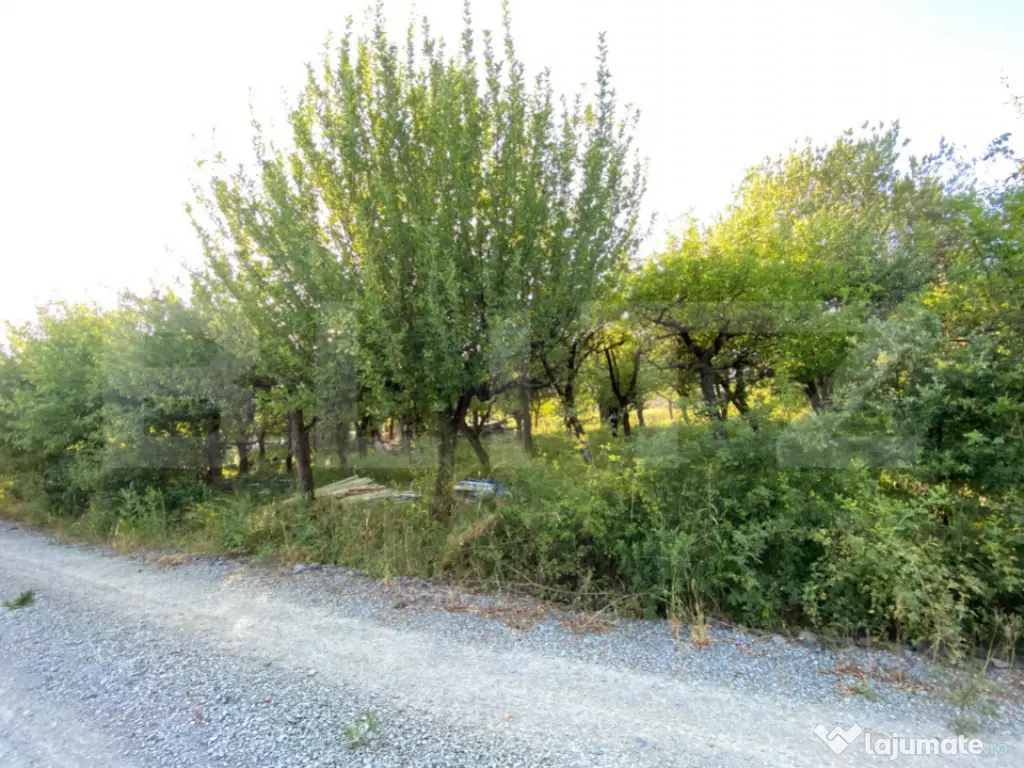 TEREN INTRAVILAN de VÂNZARE –Valea Rusului, priveliște p