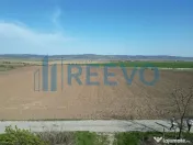 Teren de vânzare, Com. Nicolae Bălcescu, Jud. Bacău 