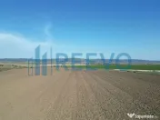 Teren de vânzare, Com. Nicolae Bălcescu, Jud. Bacău 