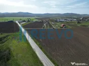 Teren de vânzare, Com. Nicolae Bălcescu, Jud. Bacău 