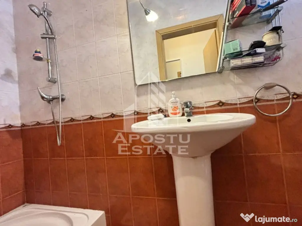 Casa individuala de vanzare cu 4 camere in zona Braytim, Timisoara - Timisoara (Timis)