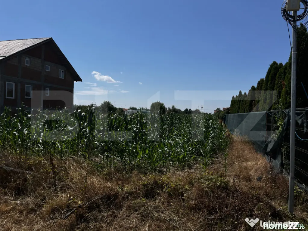 Teren extravilan de vanzare, 1267 mp, zona Draexlmaier - Satu Mare (Satu-Mare)