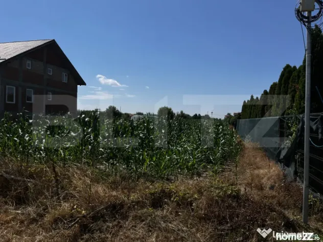 Teren extravilan de vanzare, 1267 mp, zona Draexlmaier - Satu Mare (Satu-Mare)