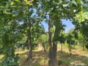 Intravilan 480 mp , loc de casa , zona padure Baicoi Prahova 