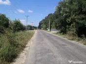 Intravilan 480 mp , loc de casa , zona padure Baicoi Prahova 