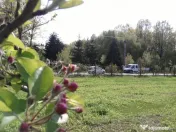 Intravilan 480 mp , loc de casa , zona padure Baicoi Prahova 