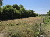 Priveliste spre lac! 