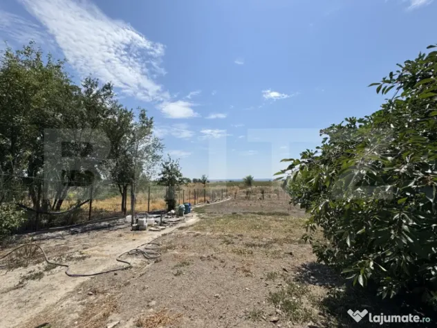 Casa pe parter Carna, 100 mp, 1500 mp teren