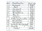 1 Mai Domenii - casa, 4 camere, curte, multiple dependinte, parcare 