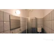 1 Mai Domenii - casa, 4 camere, curte, multiple dependinte, parcare 