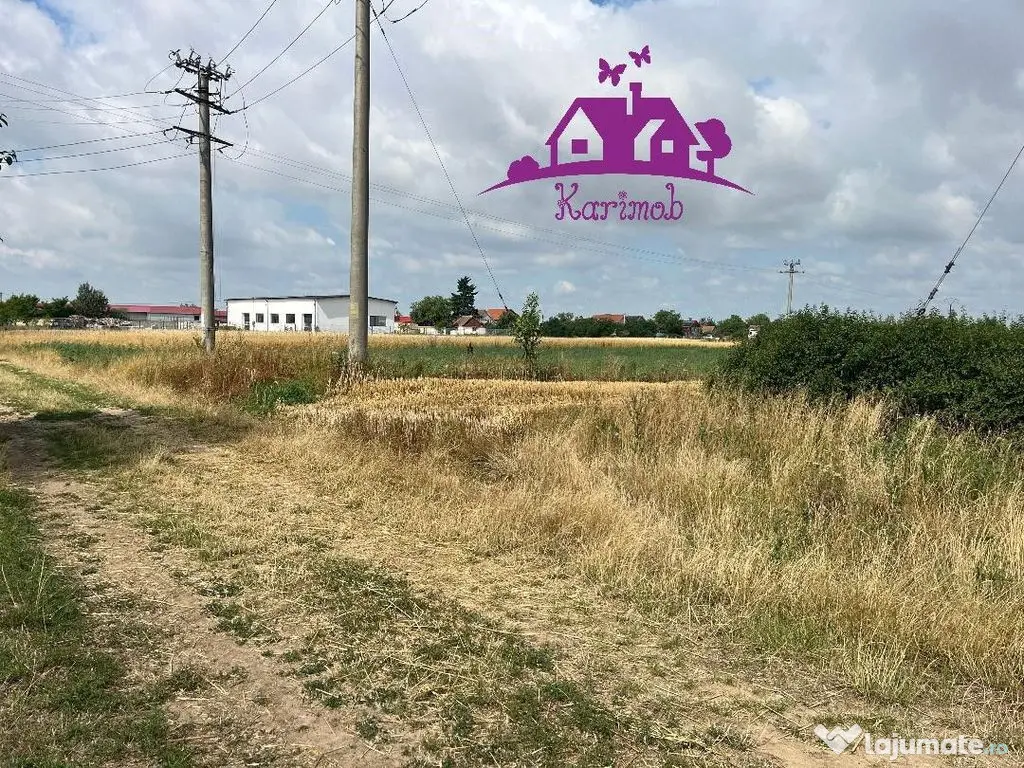 Teren la intrare in localitatea Gepiu