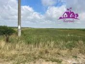 Teren la intrare in localitatea Gepiu 