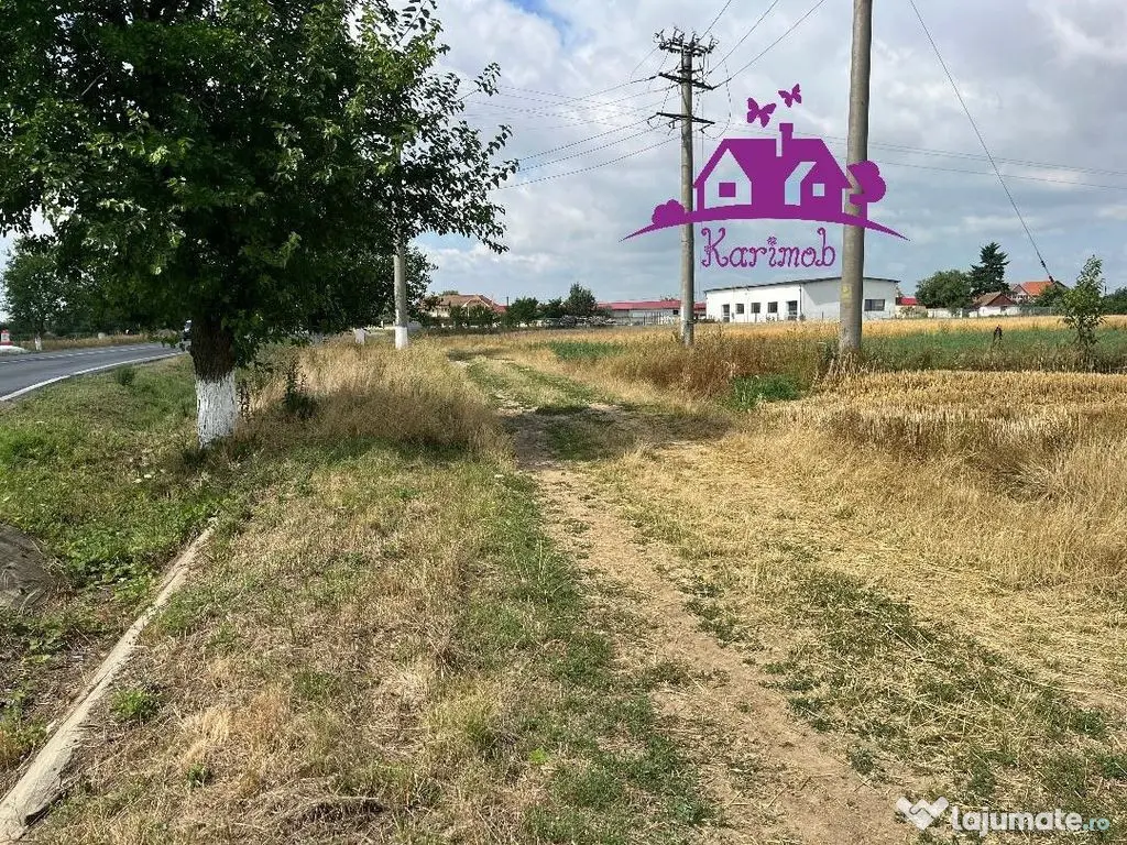 Teren la intrare in localitatea Gepiu