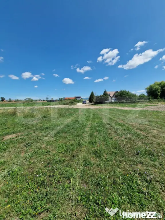 Teren 6300mp-Oportunitate investitie,zona in dezvoltare - Halchiu (Brasov)