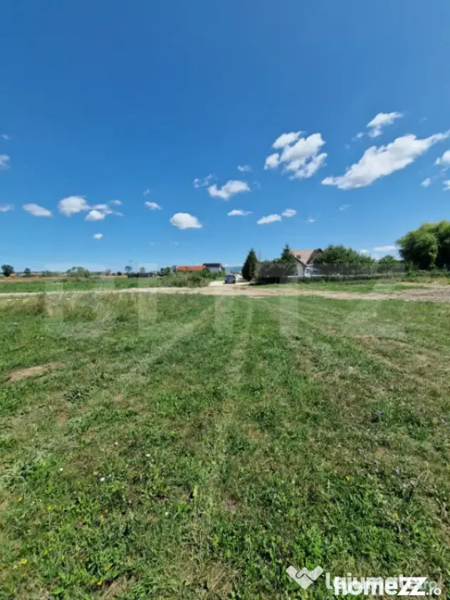 Teren 6300mp-Oportunitate investitie,zona in dezvoltare - Halchiu (Brasov)