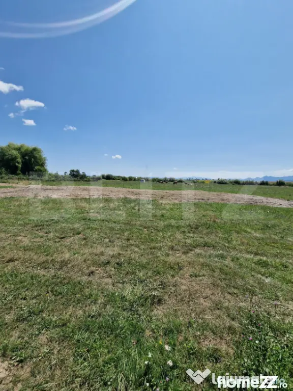 Teren 6300mp-Oportunitate investitie,zona in dezvoltare - Halchiu (Brasov)