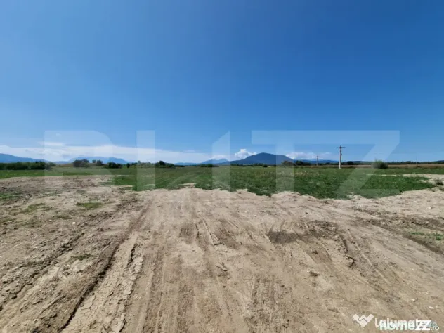 Teren 6300mp-Oportunitate investitie,zona in dezvoltare - Halchiu (Brasov)
