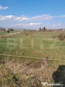 Teren intravilan 5000 mp, investiție într-o zonă în dezv