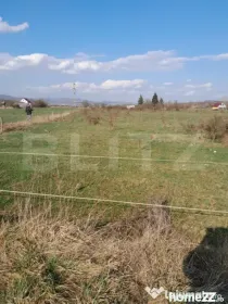 Teren intravilan 5000 mp, investiție într-o zonă în dezv