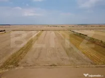 Teren Intravilan, de vanzare, 7500 mp, zona Mircea Voda