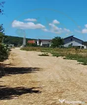 Teren 500 mp intravilan Smeura Stoenari - 4 loturi 