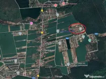 Balotesti- Dumbraveni- Padure