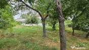 Casa de vânzare cu teren 9200 mp, Pădureni-Șendriceni,... 