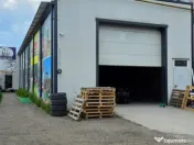 Hala 125 mp + teren 234 | Spatiu Comercial | Pitesti | Strad 
