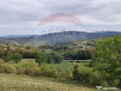 Teren intravilan constructii 1500 mp Damis Bratca drum DJ... 