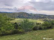 Teren intravilan constructii 1500 mp Damis Bratca drum DJ... 