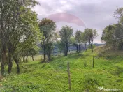 Teren intravilan constructii 1500 mp Damis Bratca drum DJ... 