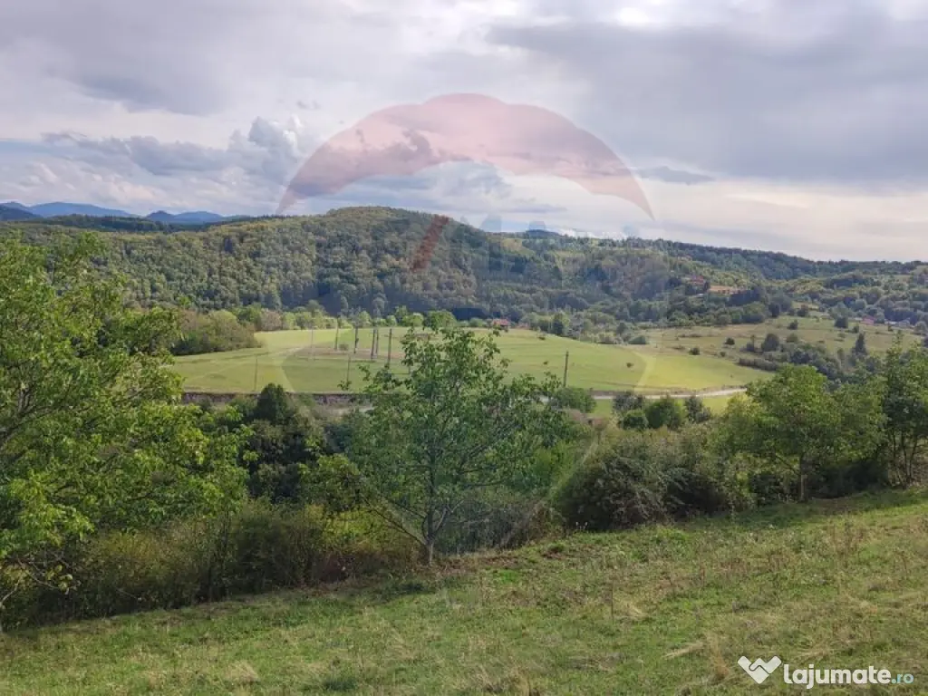 Teren intravilan constructii 3082 mp Damis Bratca drum DJ...