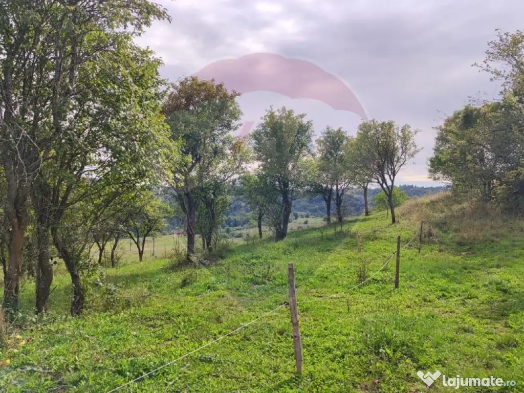 Teren intravilan constructii 3082 mp Damis Bratca drum DJ...