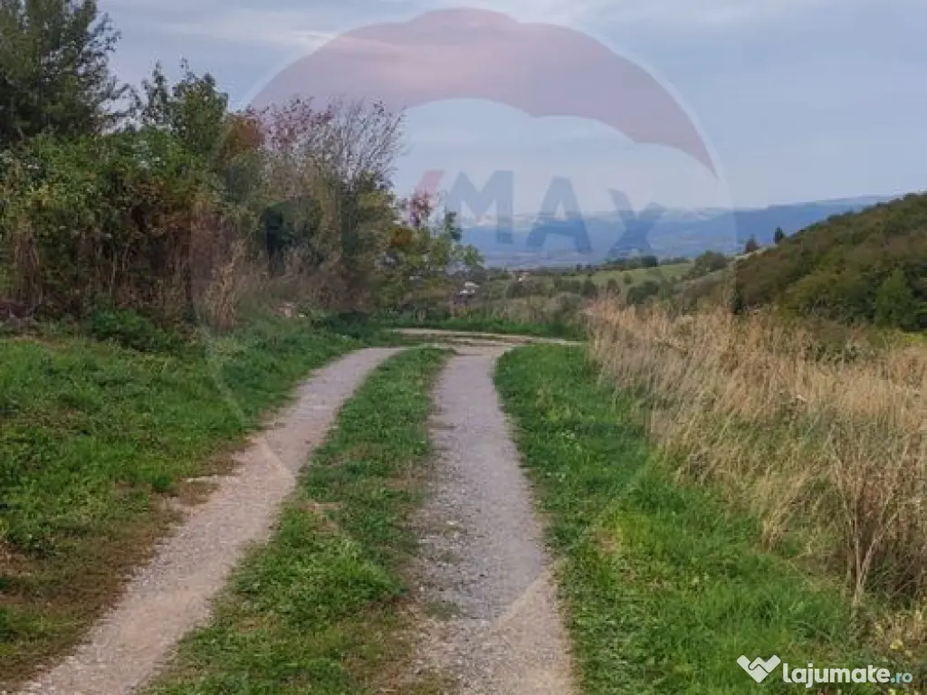 Teren intravilan constructii 3082 mp Damis Bratca drum DJ...