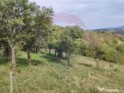 Teren intravilan constructii 3082 mp Damis Bratca drum DJ... 