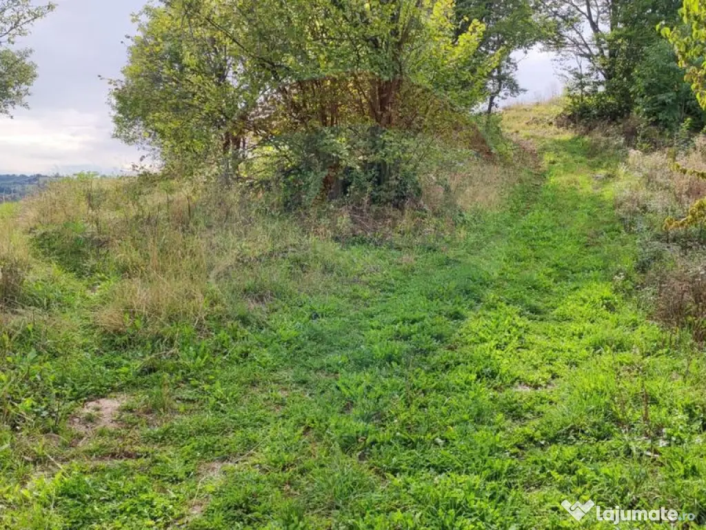 Teren intravilan constructii 3082 mp Damis Bratca drum DJ...