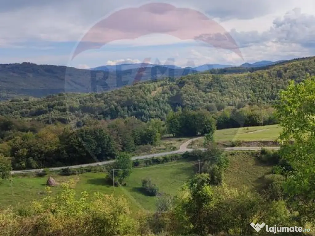 Teren intravilan constructii 3082 mp Damis Bratca drum DJ...