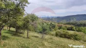 Teren intravilan constructii 3082 mp Damis Bratca drum DJ... 