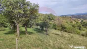 Teren intravilan constructii 3082 mp Damis Bratca drum DJ... 