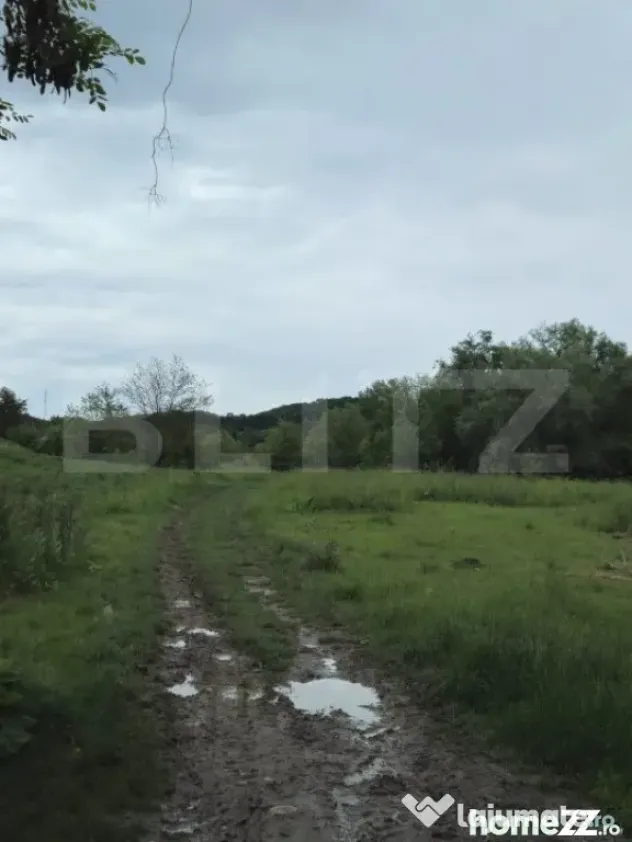 Teren Intravilan de vanzare, în Exclusivitate, Fără Comis