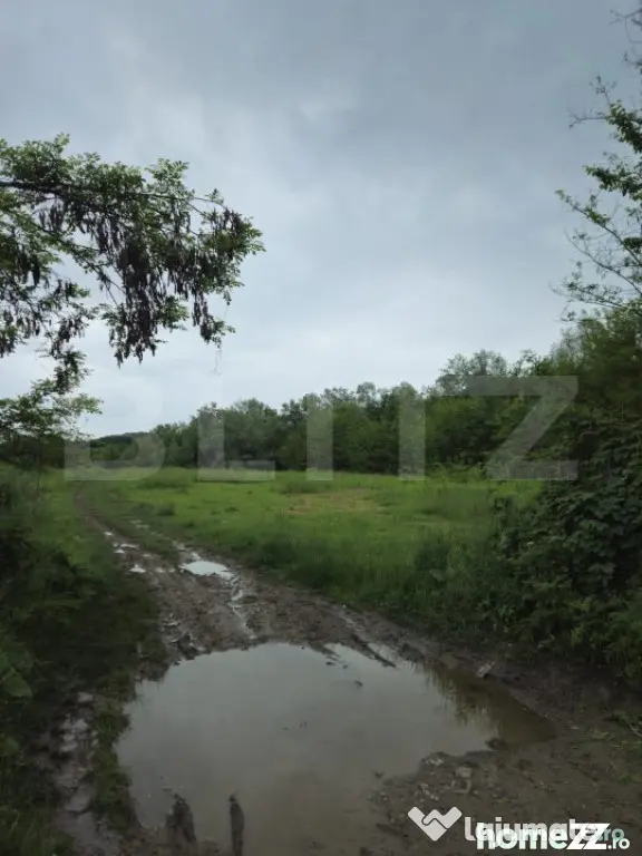 Teren Intravilan de vanzare, în Exclusivitate, Fără Comis