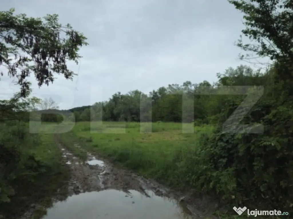 Teren Intravilan de vanzare, în Exclusivitate, Fără Comis