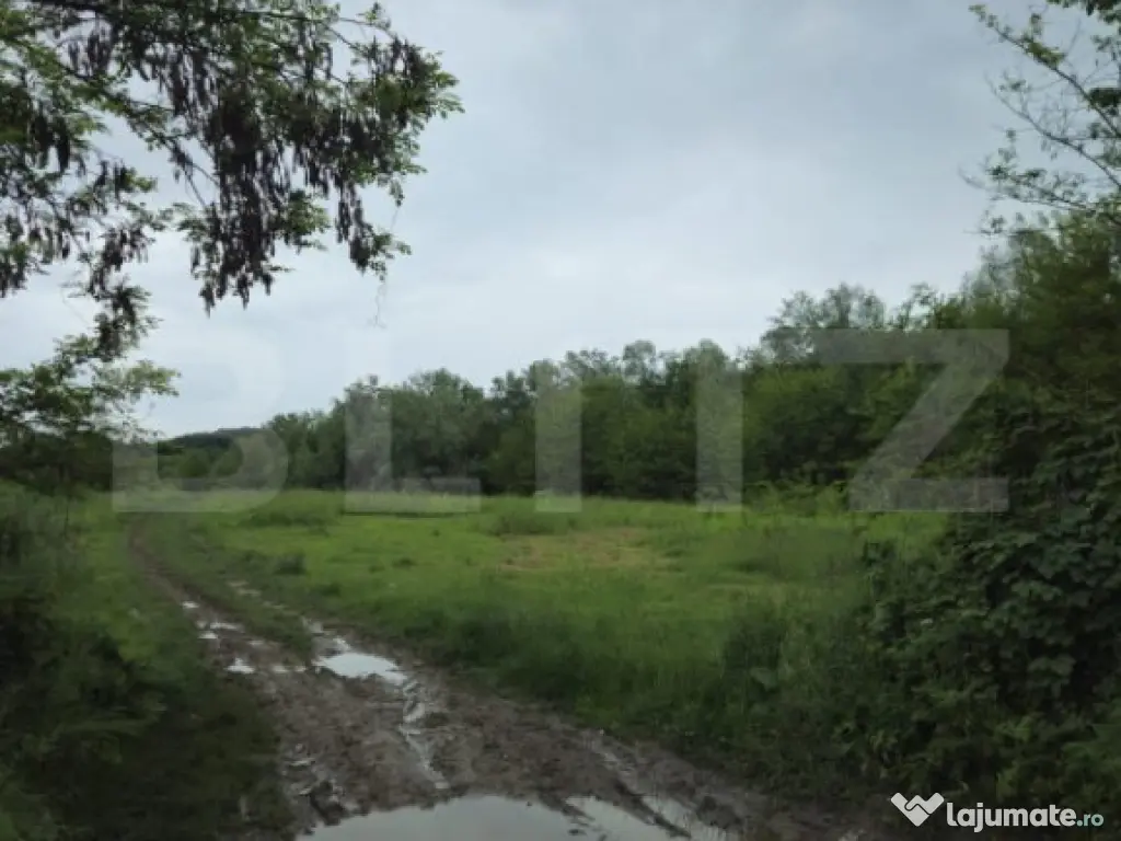 Teren Intravilan de vanzare, în Exclusivitate, Fără Comis