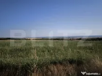 Teren 30.350 mp (600 mp intravilan) – ideal investiție, C