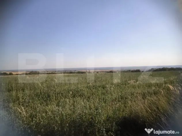 Teren 30.350 mp (600 mp intravilan) – ideal investiție, C