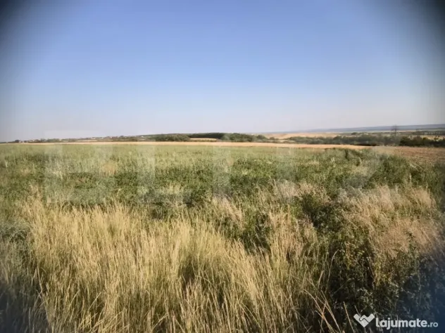 Teren 30.350 mp (600 mp intravilan) – ideal investiție, C